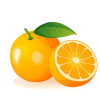 [freepicdownloader.com]-fresh-orange-fruit-whole-half-cut-vector-illustration-isolated-white-background-normal