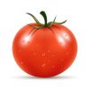 [freepicdownloader.com]-fresh-tomato-normal